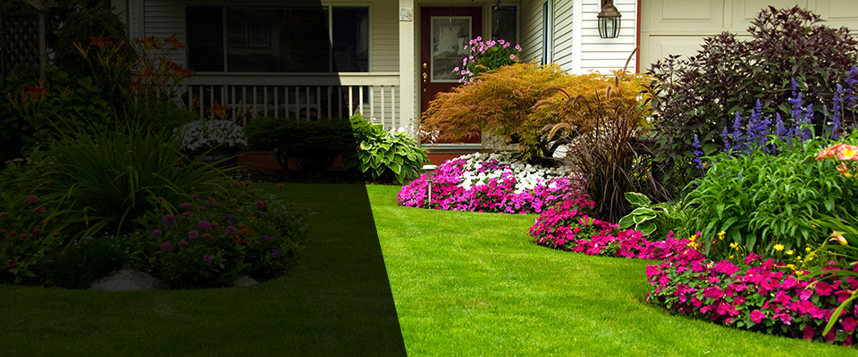 Lakeland Landscapers